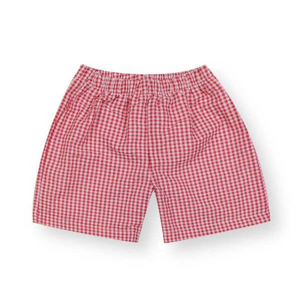 New! Blue Gingham Shorts for Boys - Add on - WSC-Designs Boutique